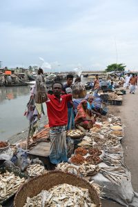people sitting on gray rocks near body of water during daytime