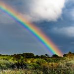 rainbow over green grass field
