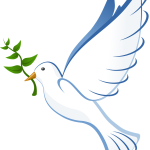 dove, peace, flying
