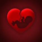 baby, heart, womb
