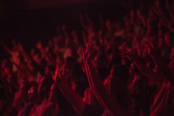 crowd lifting their hands watching concert