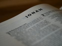 Macro photograph of the Book of Jonah page in a Bible, highlighting text and typography.