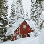 snow covered wooden house during daytime